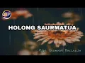 Download Lagu Holong Saurmatua (Lyrics) || Cipt Raymond Harianja