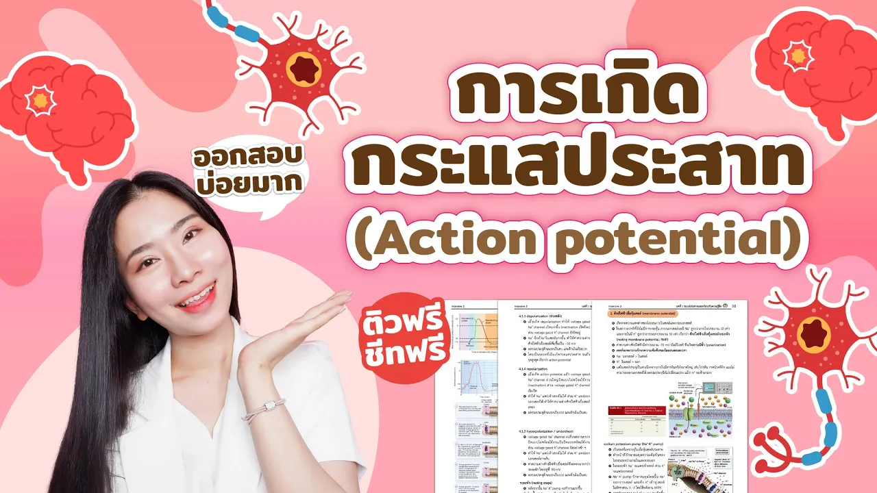 สรุประบบประสาท : Action potential