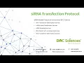 Download Lagu siRNA Transfection Protocol - What is siRNA Transfection? - RNAi Transfection - BOC Sciences