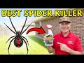 This One Spray Eliminates All House Spiders Naturally