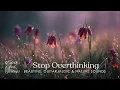 Download Lagu Prachtige gitaarmuziek en natuurgeluiden - Stop met overdenken en genees je zenuwstelsel