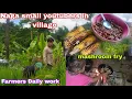 Download Lagu Farmers Life Daily routine Sleepover at our jhum field with chuchu and my mom-in-low// daily work