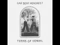 Drunk Drivers/Killer Whales - Car Seat Headrest