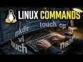 Linux File Management Commands Explained touch mkdir cp rm vi nano