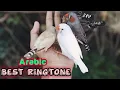 New Arabic Ringtone 2019 most beautiful ringtone - Islamic Ringtones 2019 new naat Muhammad almuqit