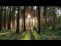 Download Lagu Al-Quran Surat Al-Baqarah: Surat Terpanjang