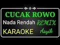 Download Lagu CUCAK ROWO KARAOKE REMIX NADA RENDAH