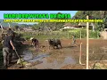 Download Lagu Mari Berwisata Ke Desa. 100% Menikmati Suasana Kampung Yang Sangat Asri Tanpa Adanya Rekayasa.