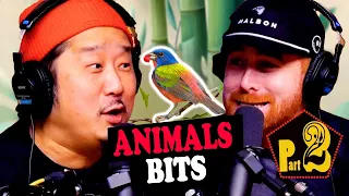 Bobby Lee’s Weirdest Animal Encounters (Birds, Cows, Jellyfish & Dolphins) FULL Compilation