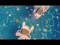 PLÜM & Trinix - Hey Ya