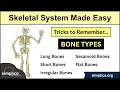 Skeletal System Types of Bones in Under 10 Minutes Anatomy Physiology Human Body
