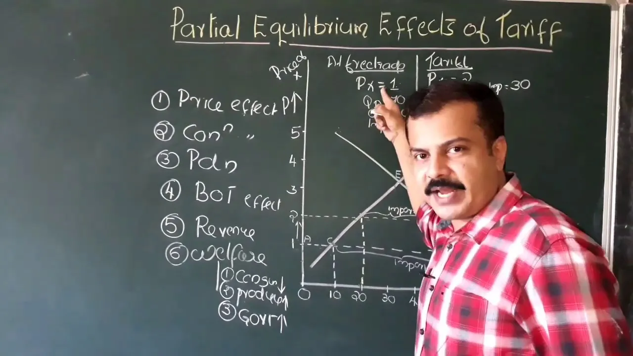 Effects of Tariff | Partial Equilibrium Analysis
