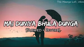 Download Main Duniya Bhula Dunga | Lofi Version | [Slowed + Reverb] || MP3