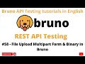 File Upload - Multipart Binary Bruno API Client Rest API Testing tutorials 4 Beginners