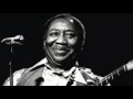 Muddy Waters "I'm A King Bee"