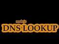 dns lookup using nodejs