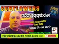 Lagu SUNFLOWER WITH AJITH MUTHUKUMARANA පැරණි සන්ෆ්ලවර්ස්  LIVE SHOW මොරටුව 2004 RECREATED SOUNDS