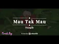 Mau Tak Mau – Tsaqib | KARAOKE AKUSTIK - FEMALE KEY