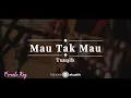 Download Lagu Mau Tak Mau – Tsaqib | KARAOKE AKUSTIK - FEMALE KEY