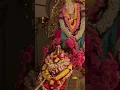 Download Lagu Navavarnapuja #kamakshi#chandi#shyamala#vaikundaekadesi #love#kandasasti#mahaperiyava#saibaba