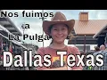Fuimos a La Pulga Mas Grande de Dallas