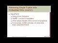 Introduction to SQL Programming Techniques