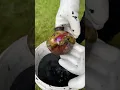 Raku firing results from quenching bucket
