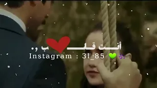 انت قلب قلبي انت انس طباش حالات واتس اب دندنها