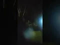 Barn owl vs Barred owl this is a call off