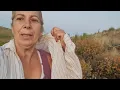 Download Lagu Escucho a los perros ladrando y voy a ver que pasa 