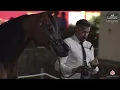 Lagu N 47 MAYSAH ALJASSIMYA   Al Rubatiya National Arabian Horse Show 2025   Senior Mares Class 5