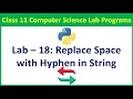 Python Program to Take in a String and Replace Every Blank Space with Hyphen Vision Academy