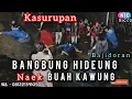 Download Lagu BANGBUNG HIDEUNG NAEK BUAH KAWUNG BAJIDORAN