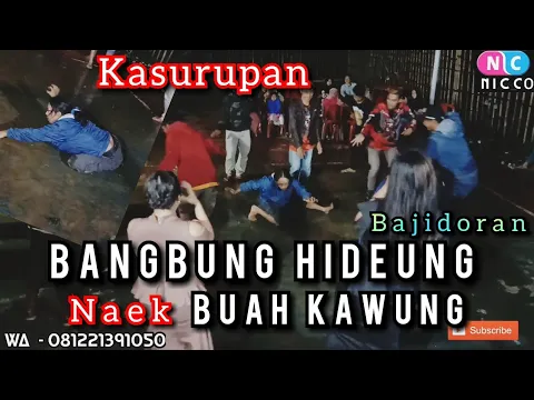 Download MP3 BANGBUNG HIDEUNG NAEK BUAH KAWUNG BAJIDORAN
