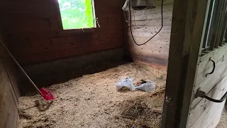 Advice On Shavings