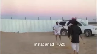 حصان عنيد طاح بيد خيال دندنها