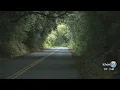 Aloha Authentic - Pali Hwy