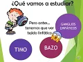 Channel