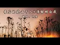 阿康-最后的莫西干人+谁能明白我『怀自信我永不怕夜航 到困倦我自弹自唱』动态歌词Lyrics