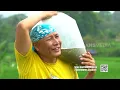 Download Lagu [FULL] PETUALANGAN SI GUNDUL | JEJAK SI GUNDUL (30/01/23)