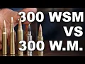 300 WSM vs 300 Winchester Magnum