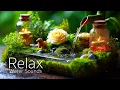 Download Lagu Sleep Music with Water Sounds 🪴 Spa Music, Healing Insomnia, Relaxing Music