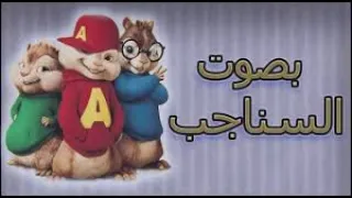 مهرجان قاسى قاسى اسف انت المركوب حلقولو احمد موزة مصطفى الجن بصوت السناجب 