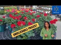 New Inventory at Walmart Garden Center for Spring Best Deals