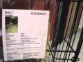 Morrison County Humane Society 2-4-15 Little Falls Mn animals for adoption
