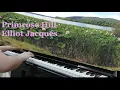 Primrose Hill - Elliot Jacqués (Cover) #sleepmusic #sleepymusic #cover