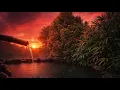 Relaxing Rain at Sunset 🌧️ | Bamboo Water Flow in Tropical Garden | Nature Sounds
