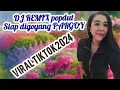 Download Lagu DJ REMIX popdut viral di tik tok 2024 # Radio bodol @ Radio bodol52