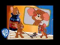 Download Lagu Tom \u0026 Jerry em Português | Brasil | Desenho Animado Clássico 105 | WB Kids