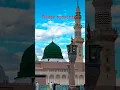 Download Lagu ya Raby Mustafa TU muja Hajj pa buala #shortsfeed #shorts #naatsharif #viral
